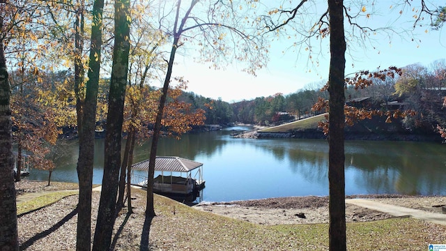 water view featuring a boat dock