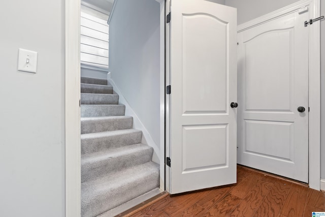 staircase with wood-type flooring