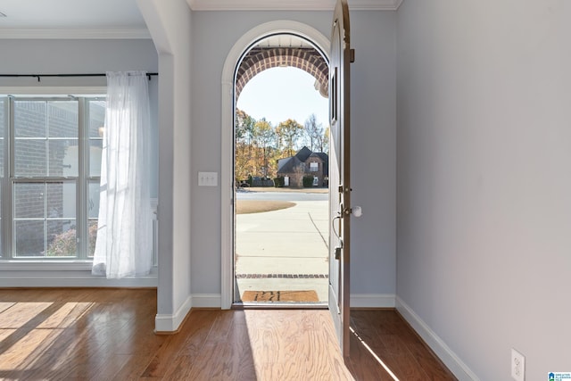 entryway featuring crown molding, plenty of natural light, and hardwood / wood-style flooring