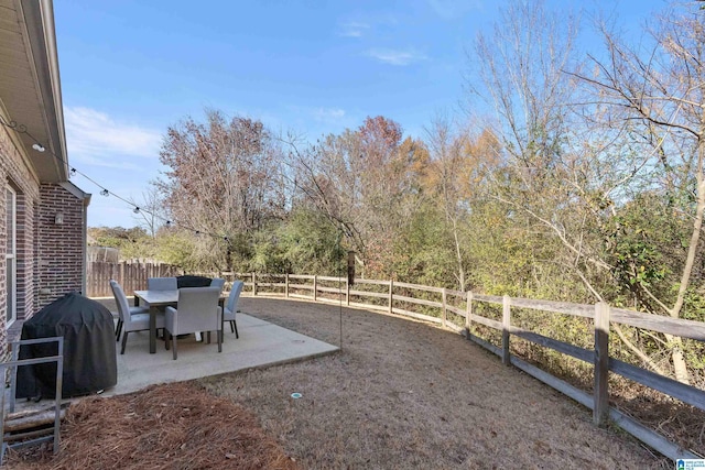 view of yard with a patio area