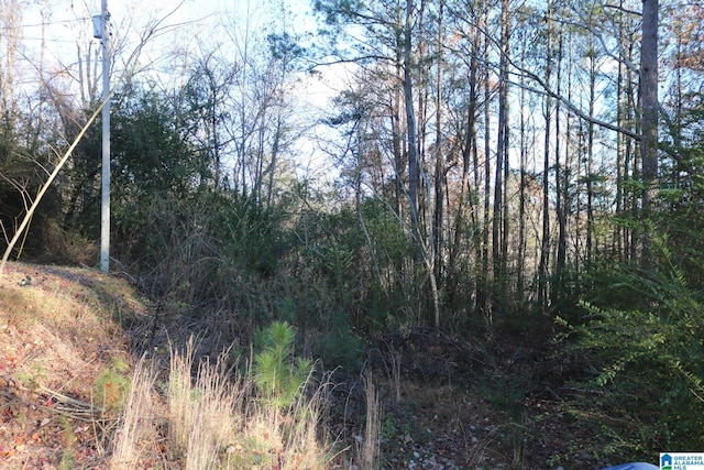 5635 Victory Ln Unit 2, Concord AL, 35023 land for sale