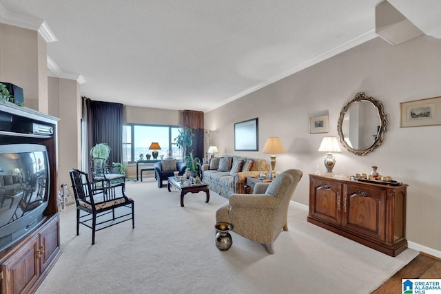 carpeted living room with ornamental molding