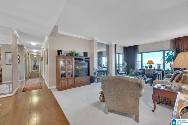 living room featuring light hardwood / wood-style floors and ornamental molding