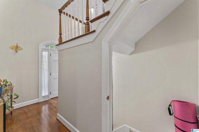 interior space with dark hardwood / wood-style flooring