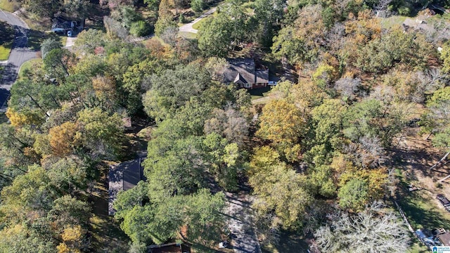 1126 Zellmark Ln, Birmingham, AL 35235 - aerial view of property's location with a heavily wooded area