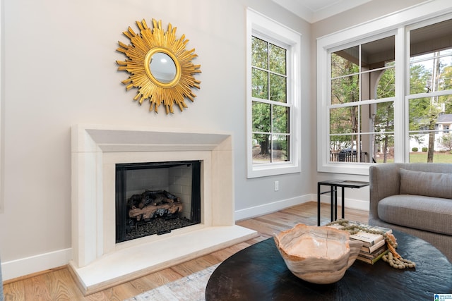 living room with crown molding and light hardwood / wood-style floors