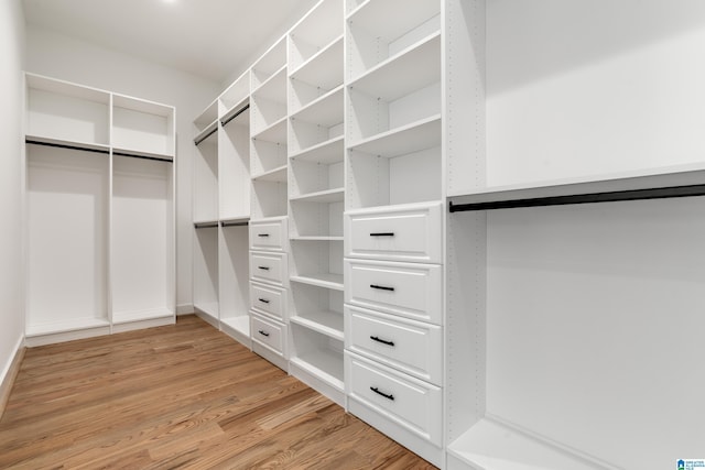 walk in closet featuring light wood-type flooring