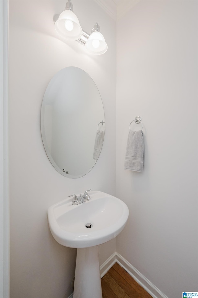 bathroom with wood-type flooring