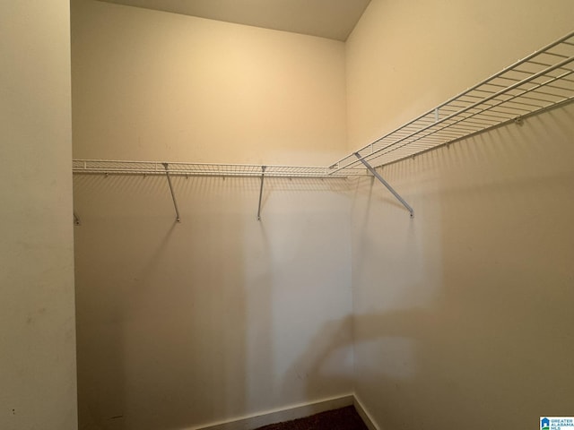 view of spacious closet