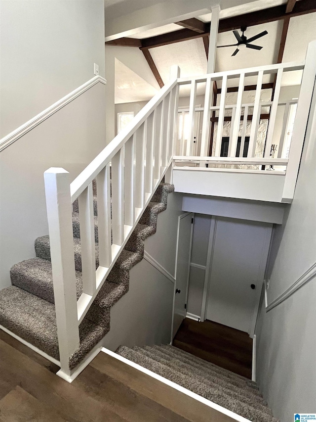 staircase featuring hardwood / wood-style flooring, ceiling fan, and lofted ceiling with beams