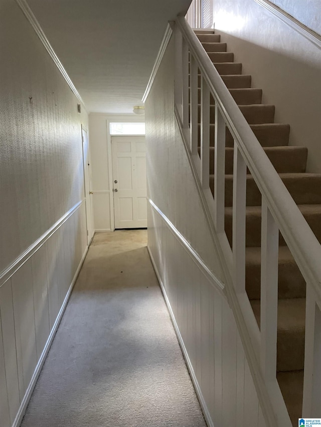 staircase with carpet flooring and crown molding