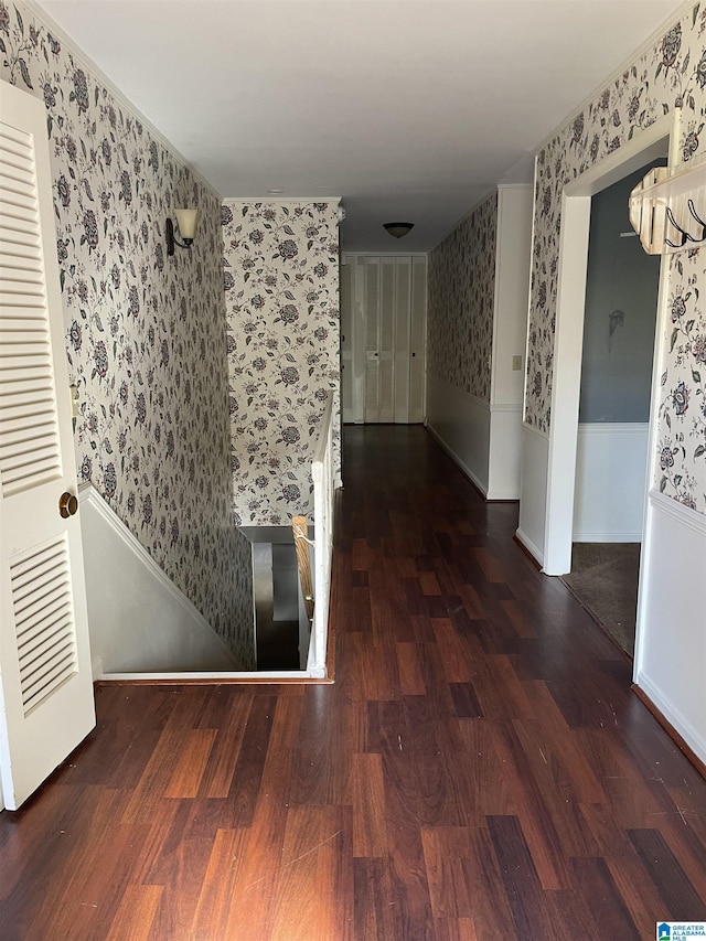 corridor featuring dark wood-type flooring