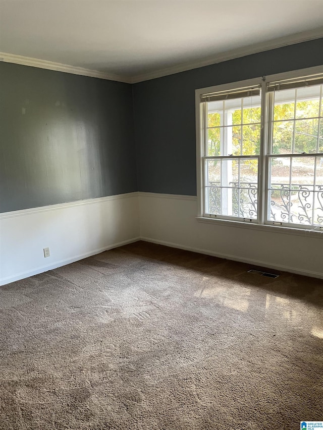 unfurnished room featuring carpet flooring and ornamental molding