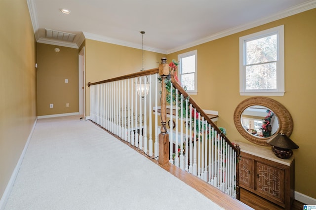 hallway featuring carpet floors, a healthy amount of sunlight, and ornamental molding