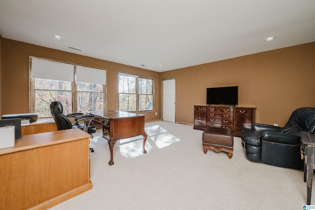 carpeted office with a healthy amount of sunlight