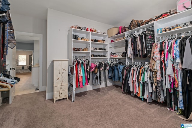 spacious closet with carpet floors