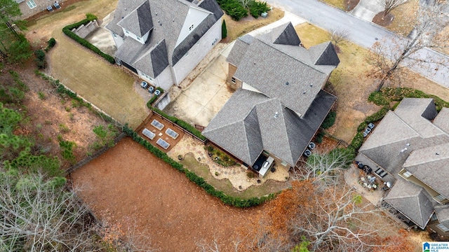 bird's eye view