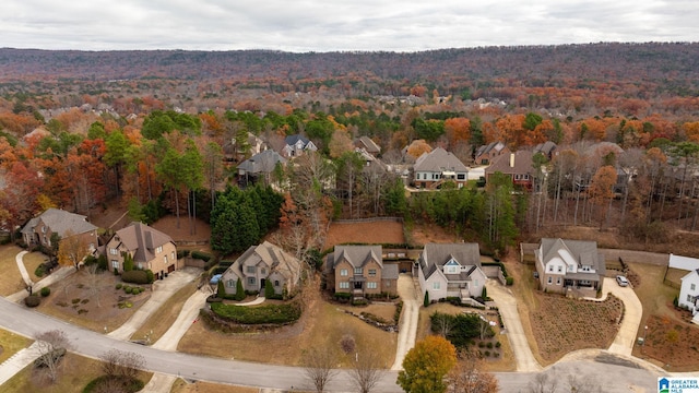 bird's eye view