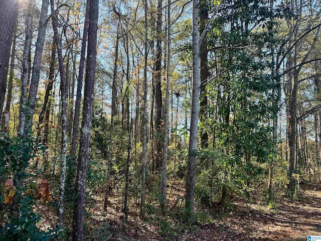 LOT7 Lane Ave Lot 7, Roanoke AL, 36274 land for sale