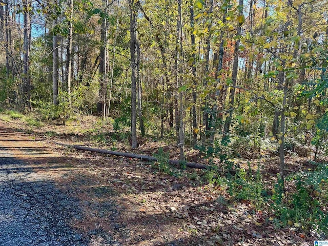 Listing photo 2 for LOT7 Lane Ave Lot 7, Roanoke AL 36274