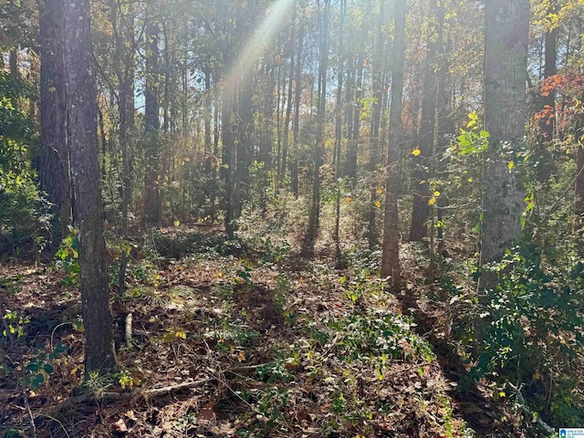 LOT18 Omaha Rd Lot 18, Roanoke AL, 36274 land for sale