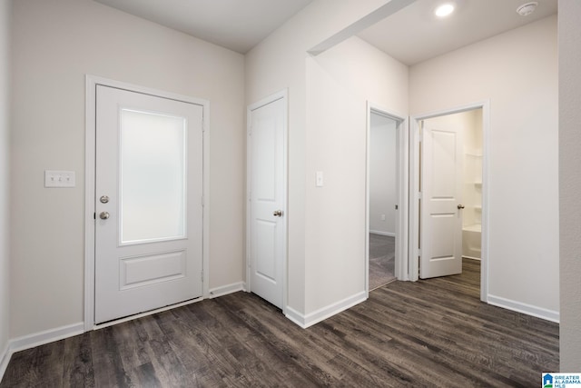 entrance foyer with dark wood-type flooring