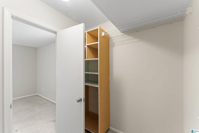 walk in closet with carpet flooring