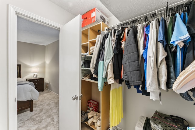 walk in closet with carpet floors