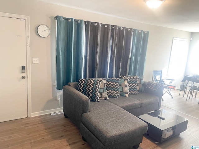 living room featuring hardwood / wood-style flooring