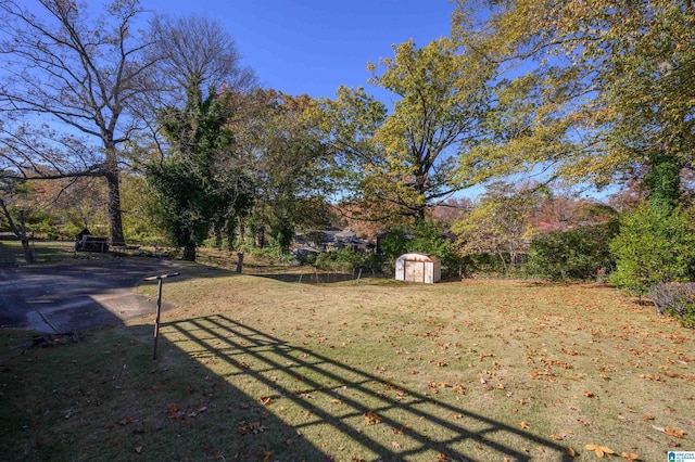 view of yard with a storage shed