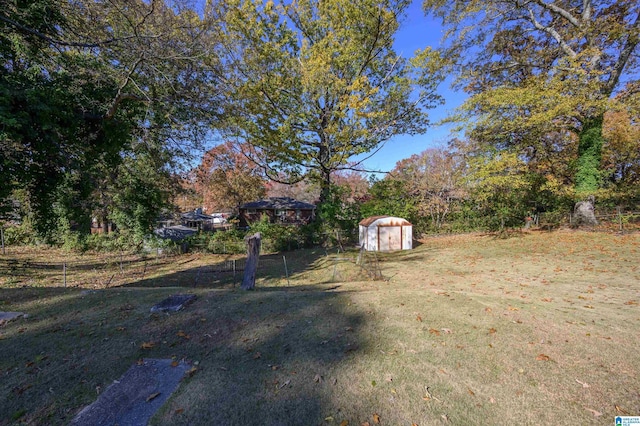 view of yard with a storage unit