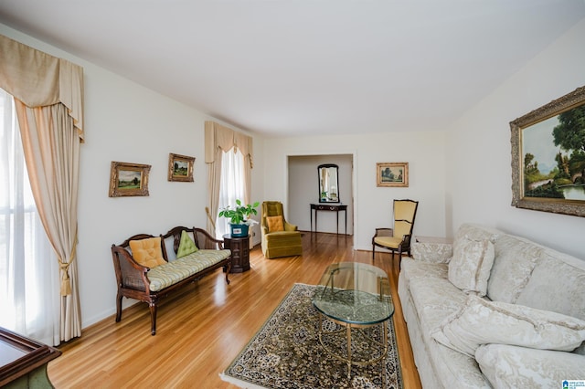 living room featuring hardwood / wood-style floors