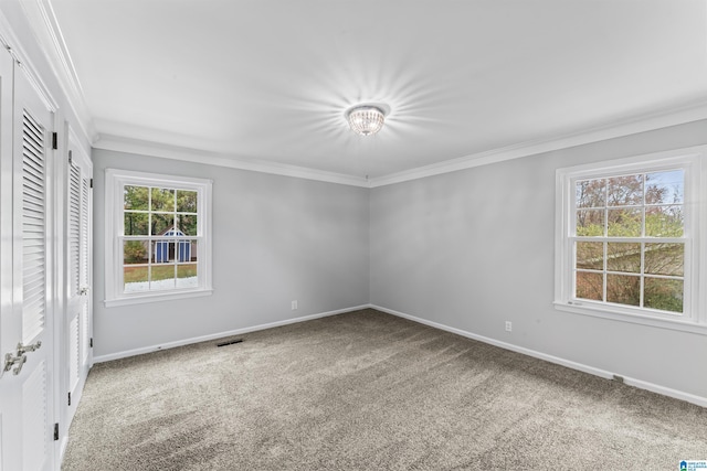 spare room featuring carpet and ornamental molding