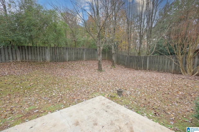 view of yard with a patio