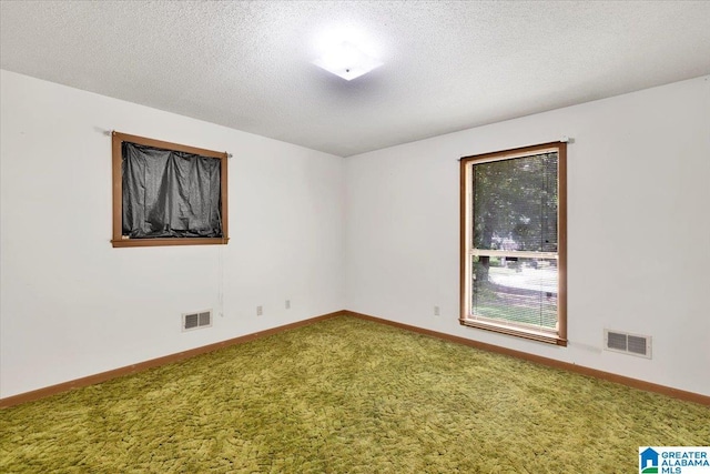 empty room with carpet flooring and a textured ceiling