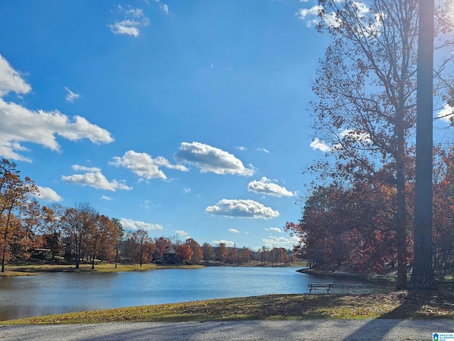 property view of water