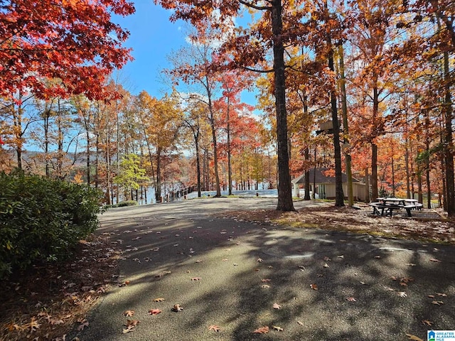 view of road