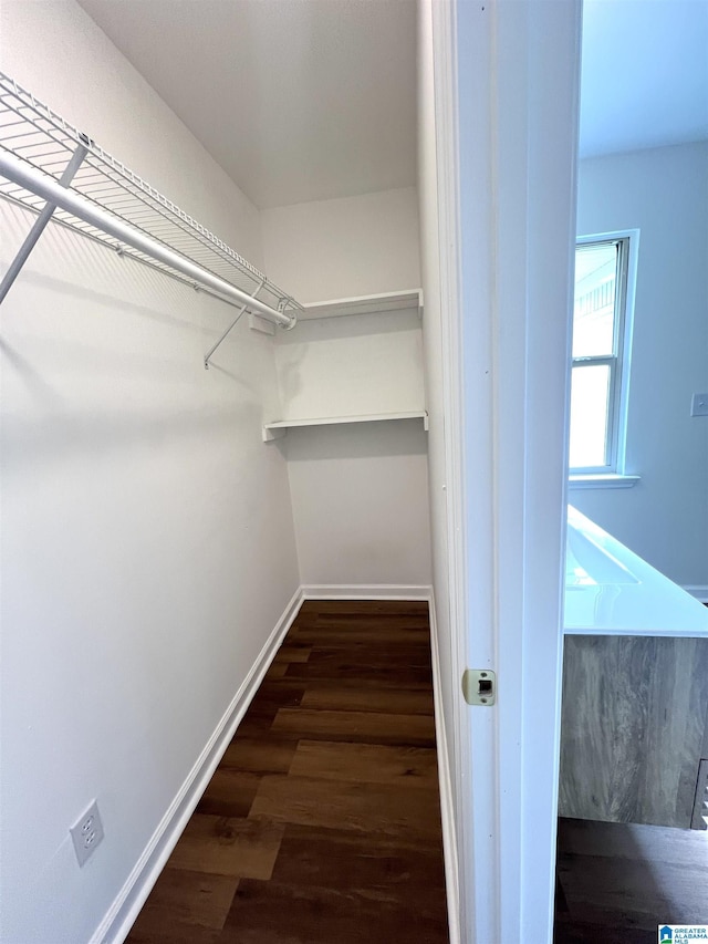 spacious closet with dark hardwood / wood-style floors