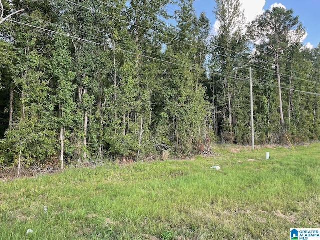 6358 State Highway 129, Winfield, AL 35594 - view of local wilderness