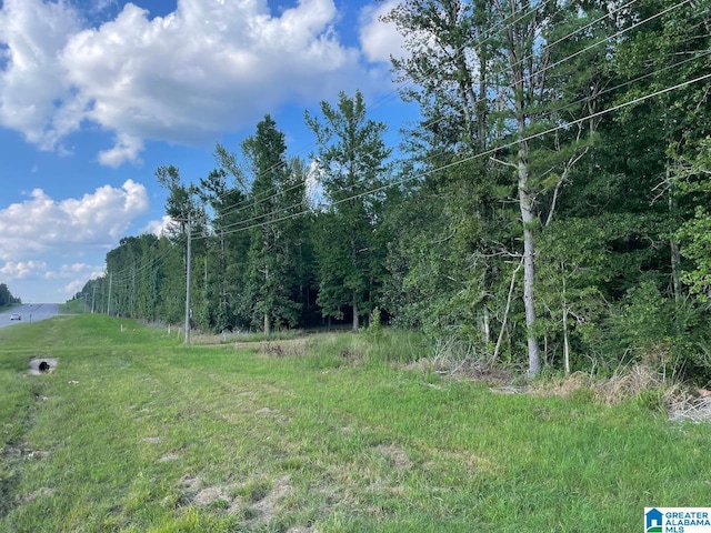 6358 State Highway 129, Winfield, AL 35594 - view of local wilderness