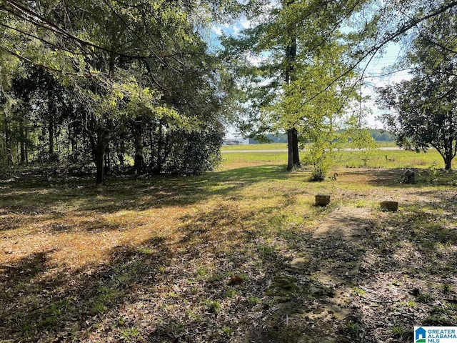 6358 State Highway 129, Winfield, AL 35594 - view of yard