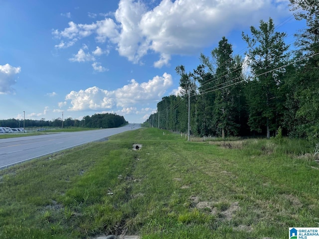 6358 State Highway 129, Winfield, AL 35594 - view of road