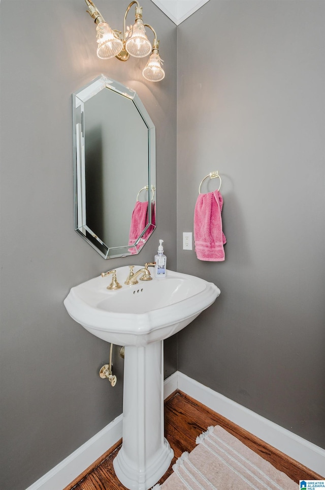 bathroom with hardwood / wood-style floors