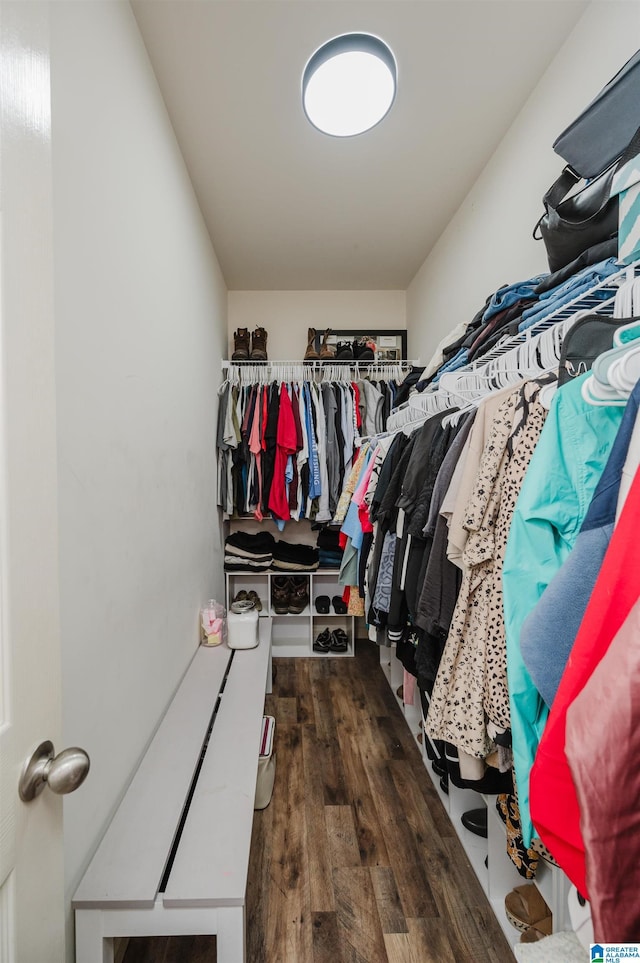 spacious closet with dark hardwood / wood-style flooring