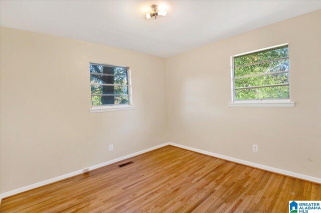 spare room featuring wood-type flooring and a wealth of natural light