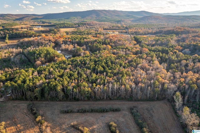 bird's eye view featuring a mountain view