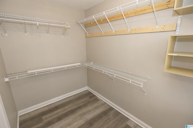 walk in closet featuring dark hardwood / wood-style flooring