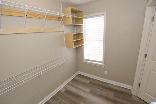 spacious closet featuring dark wood-type flooring