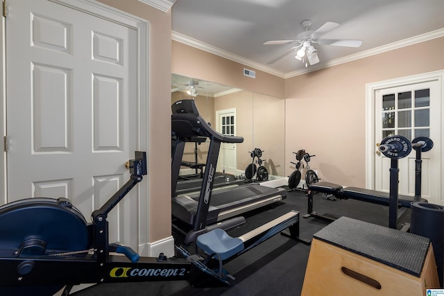 workout area featuring crown molding and ceiling fan