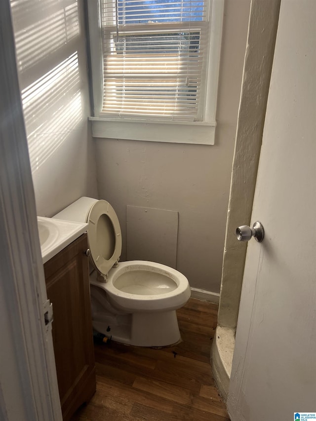 bathroom with hardwood / wood-style floors, vanity, and toilet